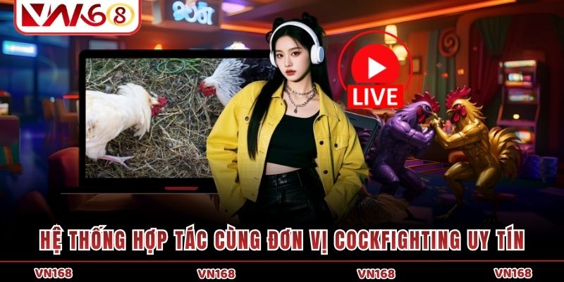 Hệ thống hợp tác cùng đơn vị Cockfighting uy tín Hệ thống hợp tác cùng đơn vị Cockfighting uy tín