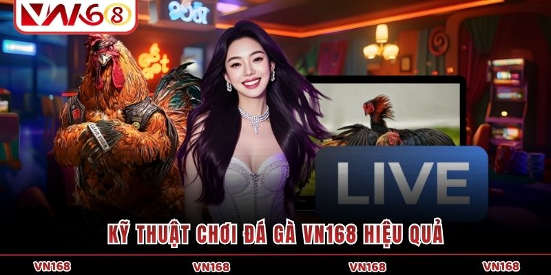 Kỹ thuật chơi đá gà VN168 hiệu quả Kỹ thuật chơi đá gà VN168 hiệu quả